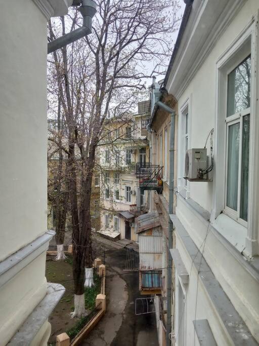 White Door Apartments Heart Of Odessa 1 ภายนอก รูปภาพ