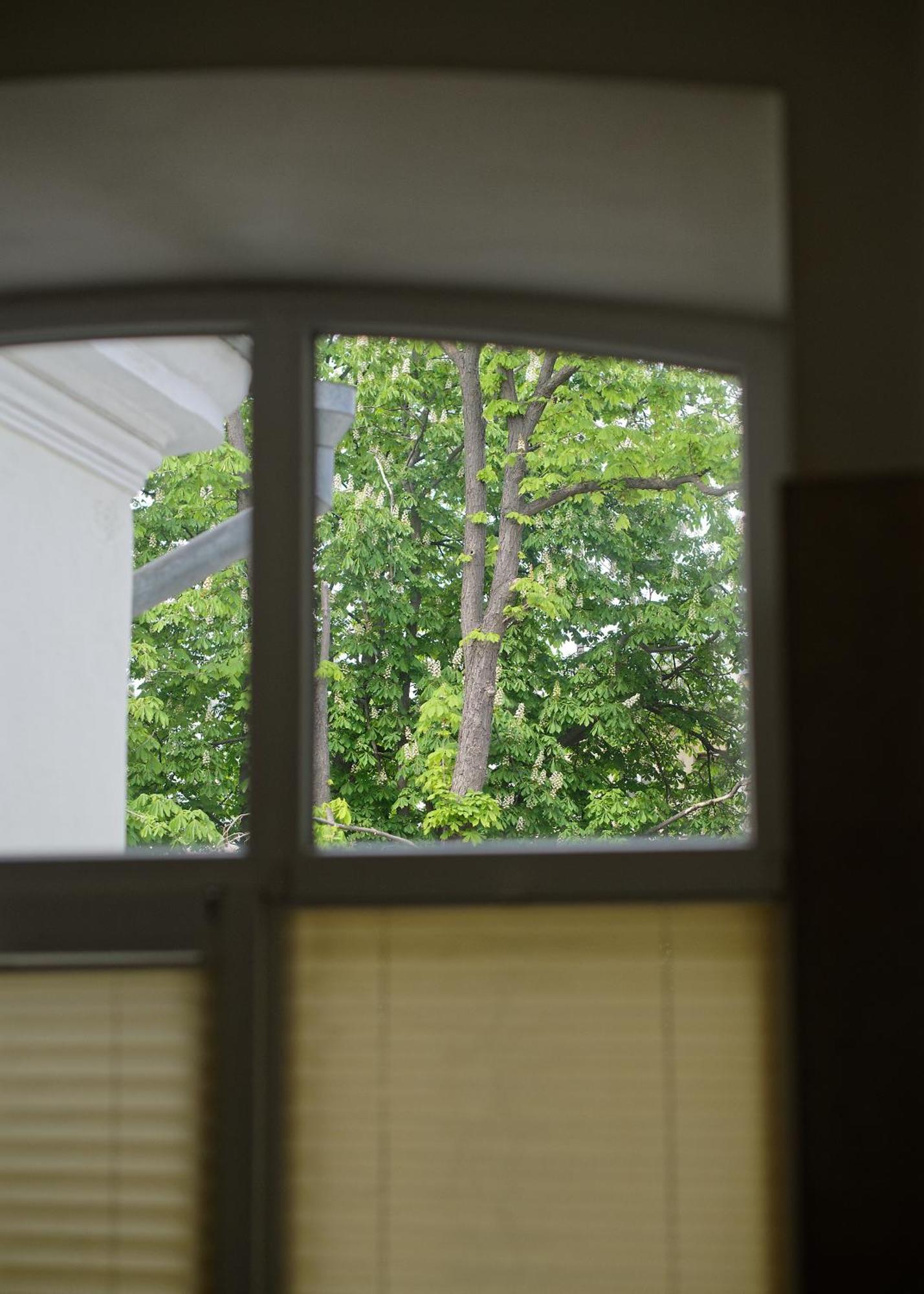 White Door Apartments Heart Of Odessa 1 ภายนอก รูปภาพ